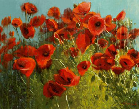 Sunshine and Raindrops von Shirley Novak