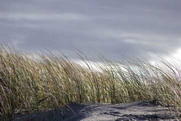 Insel Sylt II von Gerhard Rossmeissl