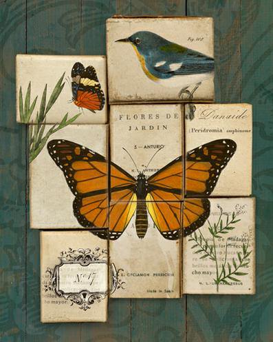 Birds and Butterflies II von Sue Schlabach