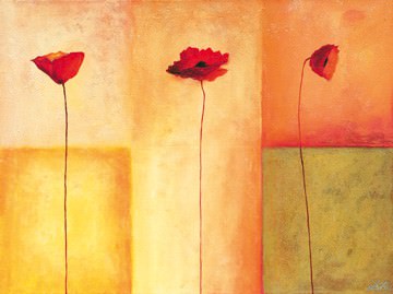 Dreierlei Mohn II von Erika Heinemann