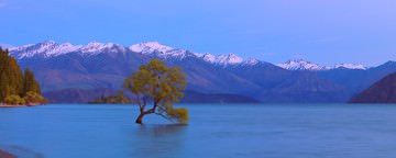 Wanaka von John Xiong