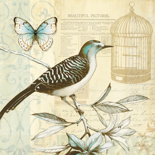 Freedom I von Lisa Audit