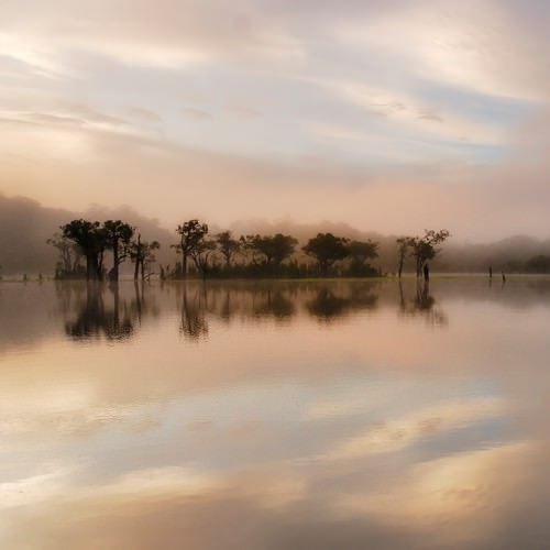 Dawn Mist on the Amazon von Andy Mumford
