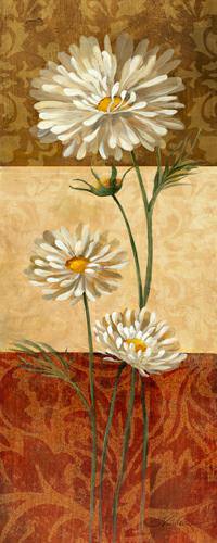 Cosmos and Squares von Silvia Vassileva