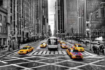 Yellows von Dr. Michael Feldmann