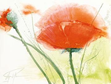 Faszination Mohn IV von Gerd Pflumm