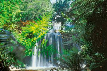 Russel Falls II von John Xiong
