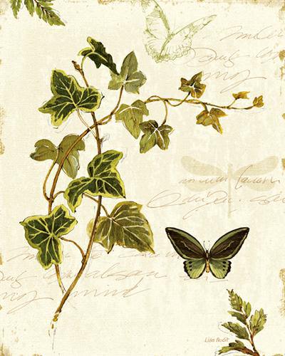Ivies and Ferns IV von Lisa Audit