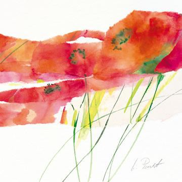 Modern Poppy V von Marta Peuckert