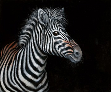 Zebra II von Jutta Plath