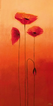 Poppy Elegance III von Erika Heinemann