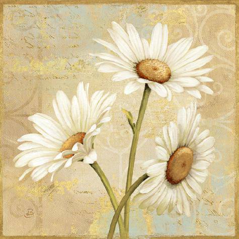 Beautiful Daisies II von Daphne Brissonnet