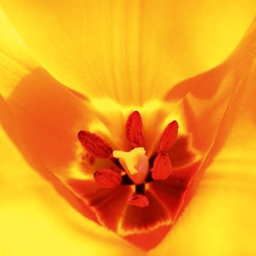 Kaleidoskop von Ingrid Ulmer