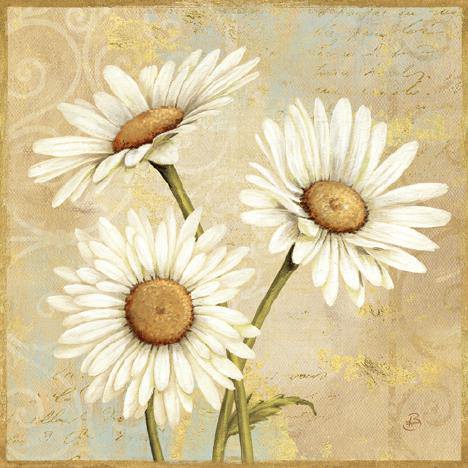 Beautiful Daisies I von Daphne Brissonnet
