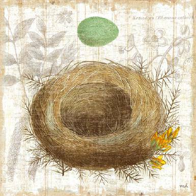 Botanical Nest II von Moira Hershey